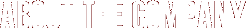 About the Company